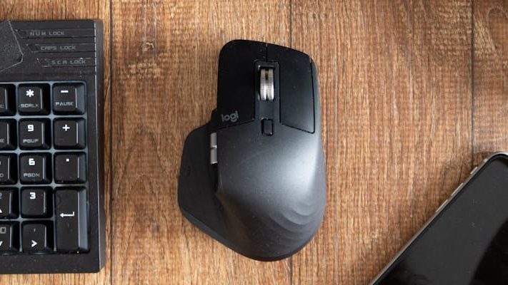 Computer Mice