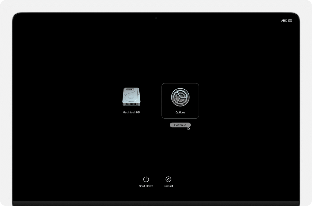 Img.12.0: Apple Diagnostics Steps