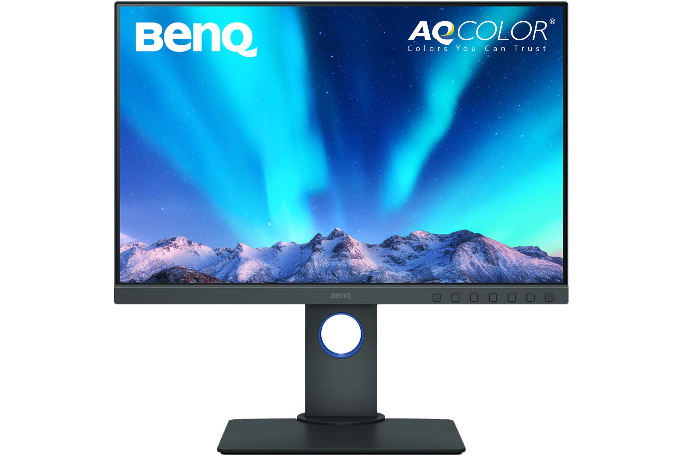 BenQ SW240 24" Monitor